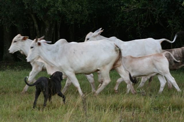 Februar 2013 065.JPG